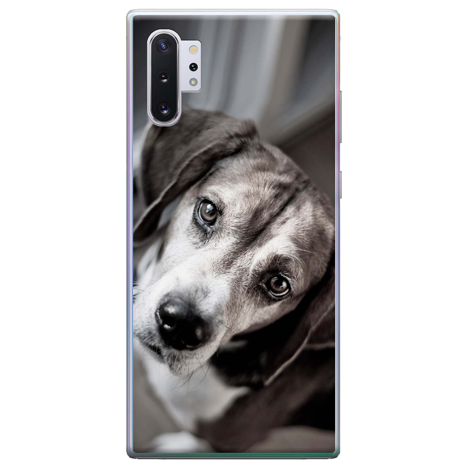 Samsung Unlocked Compatible Carriersohio Beagle Puppies For Saleterms Of Use - csfqcdp